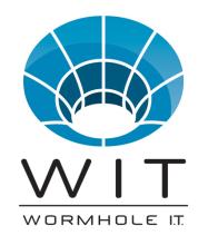 Wormhole IT Formación con tecnología Live learning Experiencia ENDEAVOR 2013