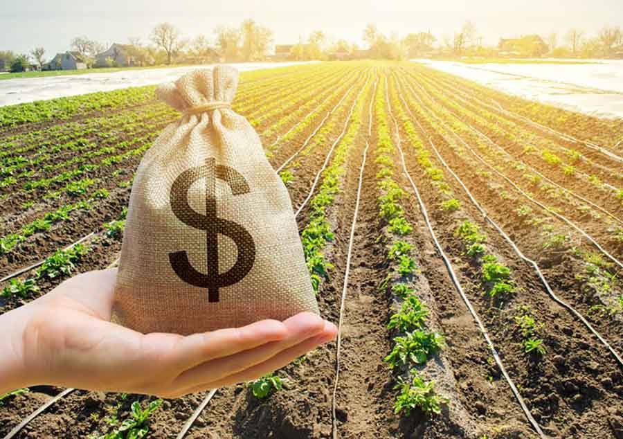 empresa agroindustria