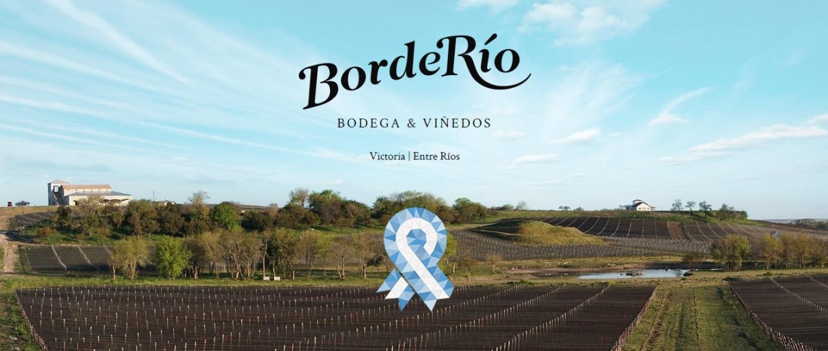 Aceite de oliva BordeRío - BordeRío Bodega & Viñedos